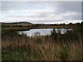 Loch at Murton Nature Reserve