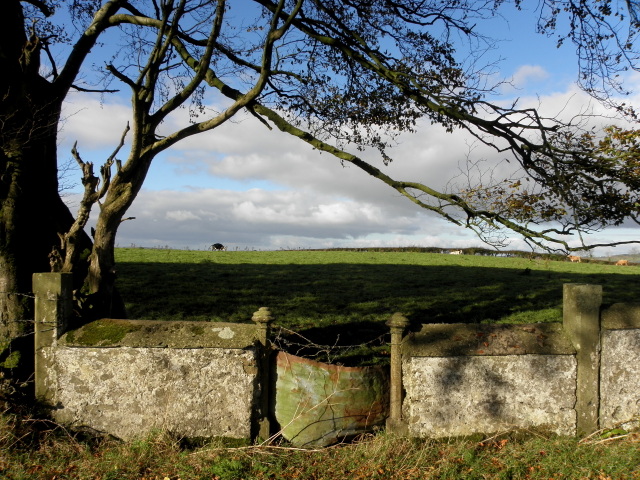 Wall and gate entrance, Ballymullarty © Kenneth Allen :: Geograph Ireland