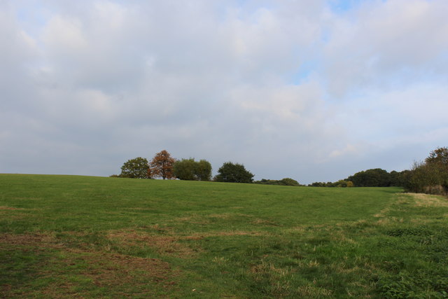 Oxleas Meadow © Chris Heaton cc-by-sa/2.0 :: Geograph Britain and Ireland