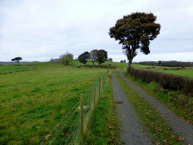 Lane, Carony © Kenneth Allen :: Geograph Britain and Ireland