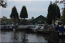 SP3687 : Charity Dock, near Bedworth by Robert Eva