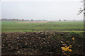 Farmland near Culcheth