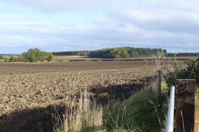 Ploughed fields at South Berrington