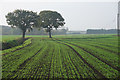 Farmland near Bates Farm