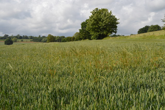 Arable land © N Chadwick :: Geograph Britain and Ireland