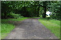 Footpath, Stutton Park