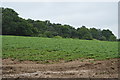 Farmland and Long Wood