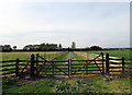 Fencing and paved road within field west of Blacksmith End