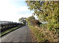 View along Hamsteels Lane