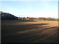 Ploughed Field and Long Shadows