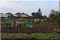 Allotments and fish