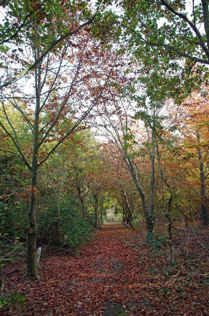 Autumn on the St Peters Way