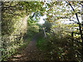 Footpath across Totteridge Fields