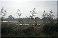 Wetland near Partridge Lakes