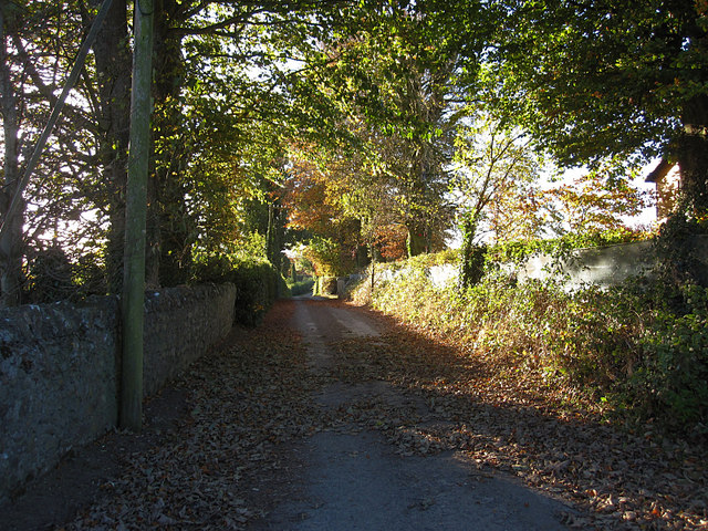 Rural Laneway