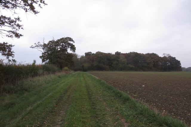 Holt Lane approaching Holt Woods