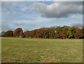 Field near Slade Farm