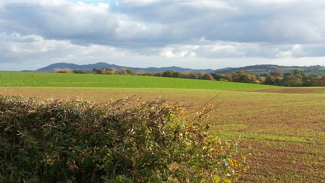 Fields at Linley Green