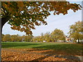 Plumstead Common in autumn