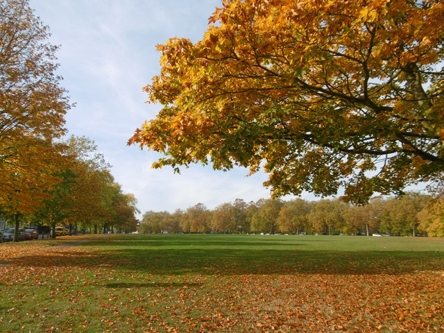 Autumn colours on Plumstead Common