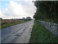 Road (A6105) at Edrom Newton