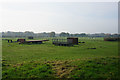 Abandoned trailers off Lady Lane