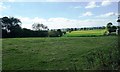 SJ3631 : Farmland at Lower Frankton by Christine Johnstone