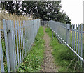 Footpath 172 heading towards Maywin Drive