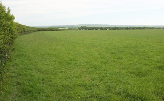 Sheep pasture near Poulza
