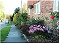 The Street, Sedlescombe