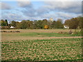 View towards Hougham