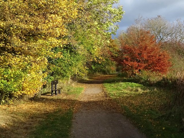 Autumn colour on the High Peak Trail