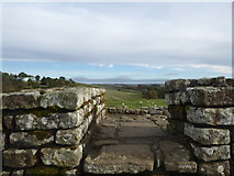 NY7968 : View from the east end of Housesteads Roman Fort by pam fray