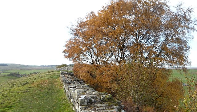 Hadrian's Wall, Cawfields