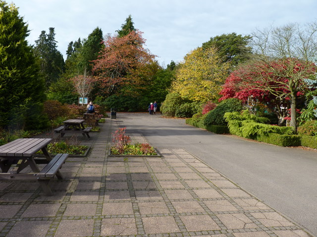 Autumnal colours in the park