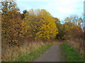 NZ3254 : Autumn colours at Cox Green, near Washington by Malc McDonald