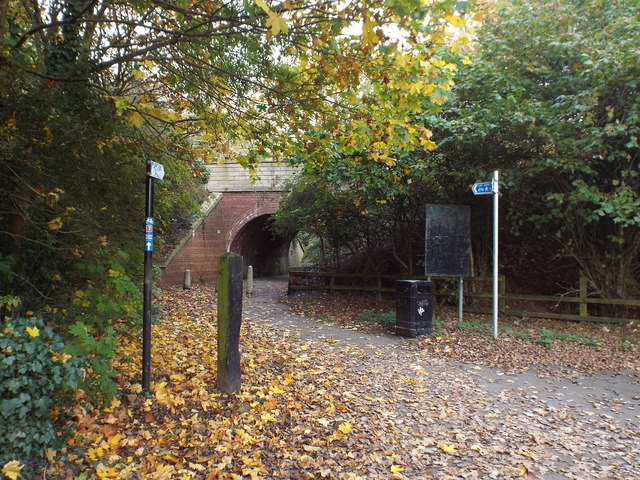 cycle route near me