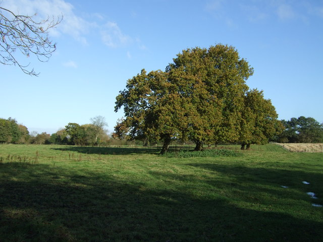 Parkland Off Shay Lane C Jthomas Cc By Sa 2 0 Geograph Britain