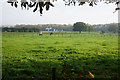 Fields by Croft Riding Centre