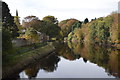 River Coquet north of Warkworth