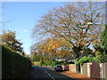 South Downs Road