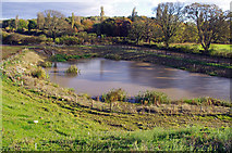 SD4663 : Attenuation pond by Ian Taylor