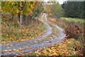 Lane from Kincraigie