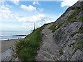 Pathway down to the beach