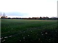 Playing Fields at Cantley Park