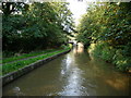 Trent & Mersey Canal between bridges 199 and 200