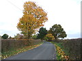 Autumn colours, Yatehouse Lane