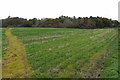 Footpath to Akeley Wood Lower School