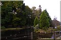 Island in duck pond at Invergloy