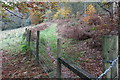 Path down to Ynys Hywel Camping Barn